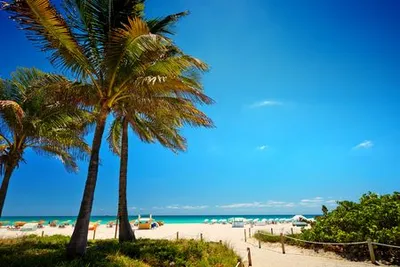 Circuit Splendeurs de Floride & Extension à Miami Beach