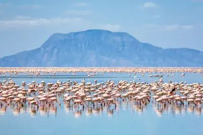 Circuit Tanzanie Insolite 3*