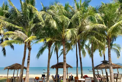 Hôtel Dolphin Bay Resort 3*