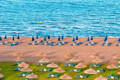 Hôtel Apollo Beach 4*