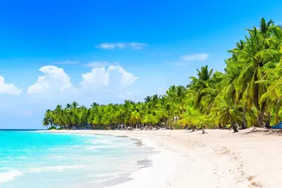 Hôtel Wyndham Alltra Punta Cana 5* by Ôvoyages