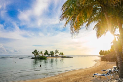 Hôtel Catalonia Montego Bay 4*