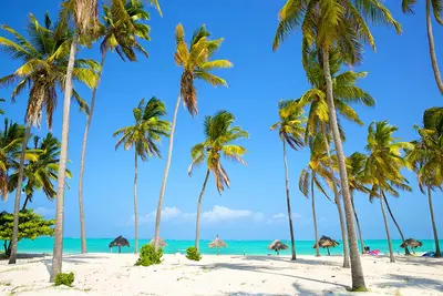 Hôtel Diamonds Mapenzi Beach 4*