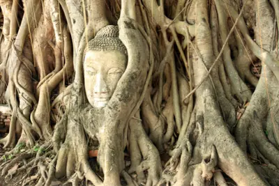 Circuit Hors des Sentiers Battus & Plage à Phuket 4*