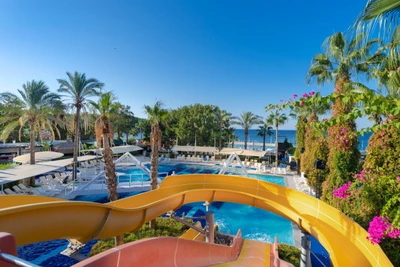 Mondi Club Sealife Buket
