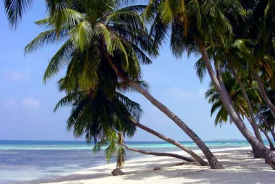 Karaibes Hôtel