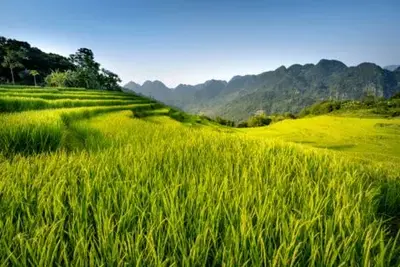 Circuit Des Rizières de Mai Chau à Halong