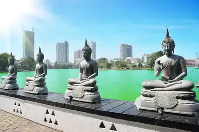 Circuit Sri Lanka : L'Ile Merveilleuse