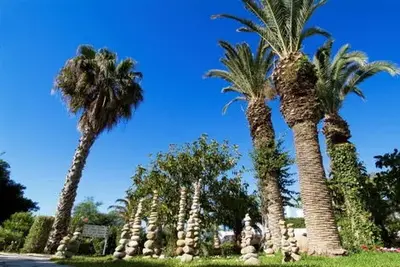 Naya Club - Orangers Beach Resort