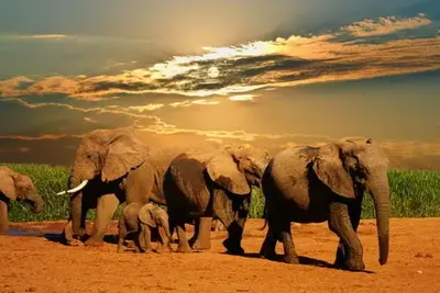Circuit I love Afrique du Sud 2024-2025