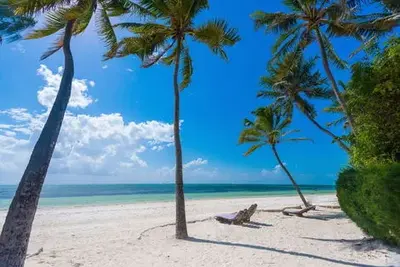 Hôtel Indigo Beach Zanzibar - catégorie de Charme