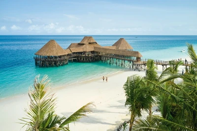 Hôtel Riu Jambo