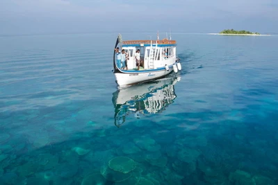 Hôtel Vilamendhoo Island Resort & Spa