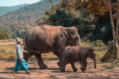 Combiné circuit et hôtel Trésors de Thaïlande et Hua Hin