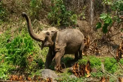 Combiné circuit et hôtel Trésors de Thaïlande et plage à Krabi