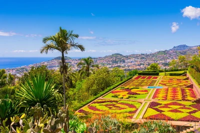 Circuit Au cœur de Madère – Logement Jardins d'Ajuda