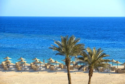 Hôtel Concorde Moreen Beach Resort & Spa