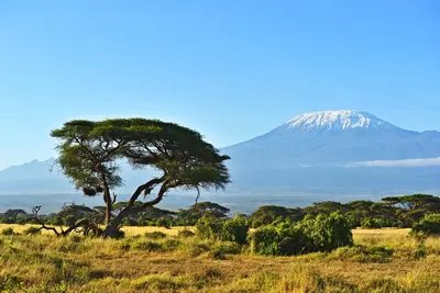 Hôtel Jumbo resort Watamu 4* avec 3 nuits Tsavo est / ouest et Amboseli