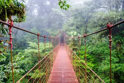 Circuit Jungles et forêts avec Rincon de la Vieja 