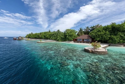 Hôtel Lily Beach Resort and Spa