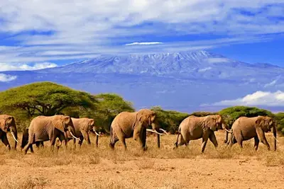 Circuit Couleurs Tanganyika