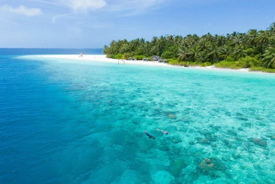 Hôtel Fihalhohi Island Resort