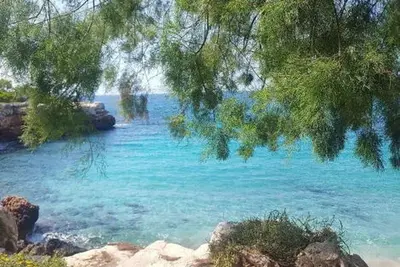 Hôtel BJ Playamar & Apartamentos