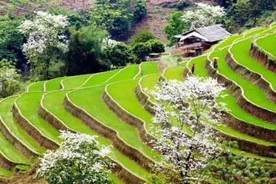 Circuit Magie du Vietnam