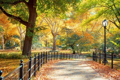 Hôtel Fairfield Inn & Suites by Marriott New York Manhattan / Central Park