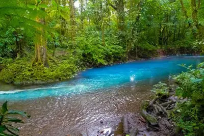 Autotour Faune & Flore du Costa Rica