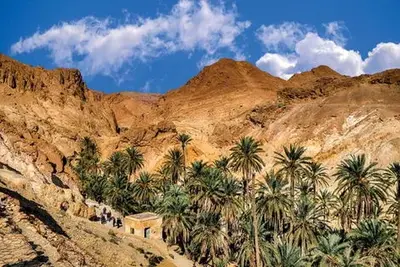 Circuit La Rose des Sables, à la découverte du grand Sud de la Tunisie
