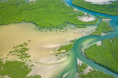 Circuit Au coeur du Sénégal et ses mangroves