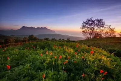Circuit Des Temples Khmers aux plages de Krabi