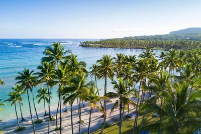 Hôtel Wyndham Altra Samana