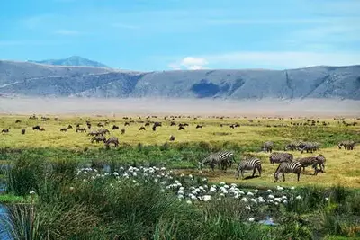 Combiné circuit et hôtel Safari au cœur du Ngorongoro et plages de Zanzibar
