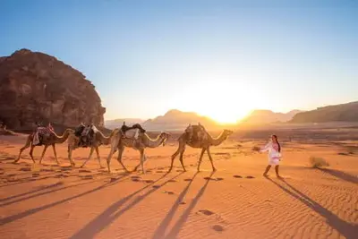 Circuit Mer Rouge et trésors Antiques : Un circuit magique dans le sud de la Jordanie