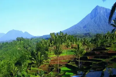 Circuit Au Coeur de Bali et Extension Prime Plaza Sanur