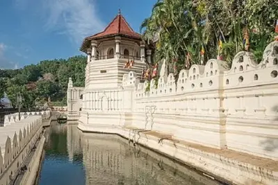 Circuit Au Sri Lanka: L'île émeraude