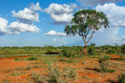 Circuit Splendeurs du Kenya - 2025