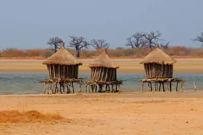 Circuit Sénégal, entre savane et plage du Framissima Riu Baobab