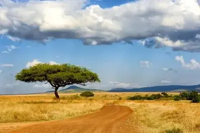 Circuit Immersion en Tanzanie -
