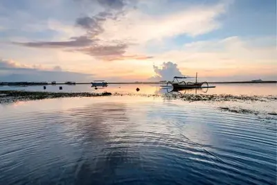 Circuit Combiné Jungle, Rizières et Sable de Bali