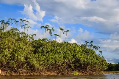 Circuit L'Équateur entre nature et authenticité + pré-tour Amazonie
