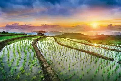 Combiné circuit et hôtel Richesses et traditions de Thaïlande + extension Framissima Kalima Khao Lak 
