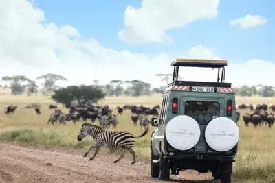 Circuit Tanzanie Sauvage -