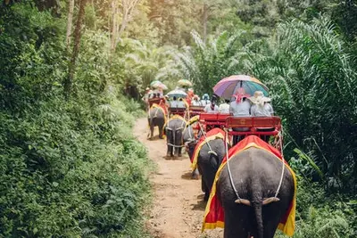 Circuit Saveurs et Couleurs de Thai¨lande