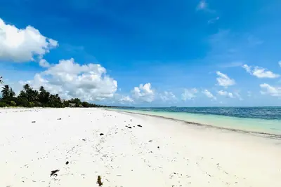 Hôtel Palumbo Mnemba View Resort (vol de jour)