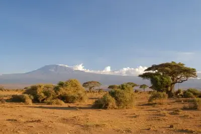 Circuit Privatif Safari Fééries d'Afrique