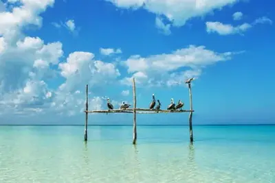 Circuit Cap sur le Yucatan ext Holbox 4* - Limités à 20 pers.