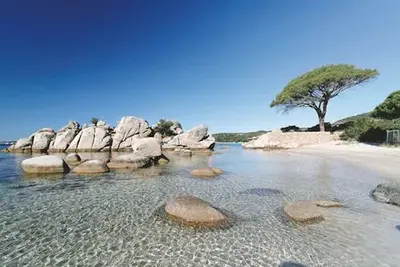 Autotour Sur la route : Grand Tour de Corse - Arrivée Bastia